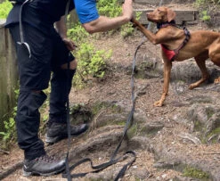 Halti Pallas X-Stretch Lite Zip-Off Pants - Zip-Off Hose -Outdoorbekleidung halti pallas x stretch lite zip off pants zip off hose 98dba1df51b44ea04d61a3a3dd590d77 1